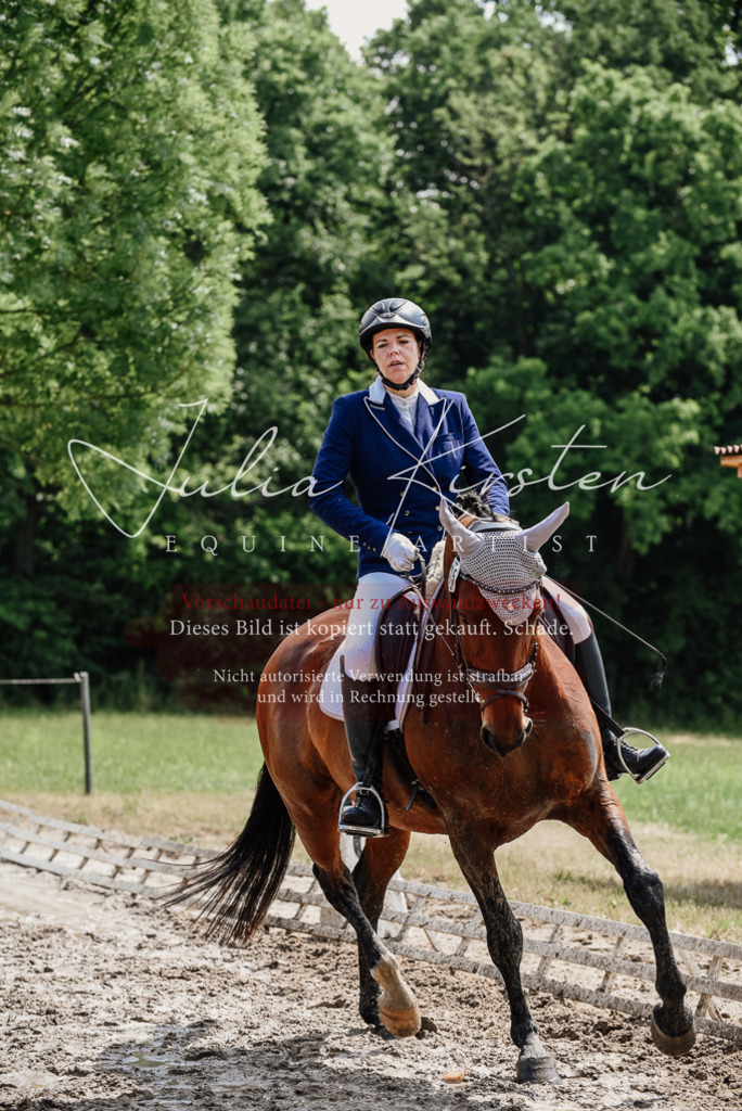 DSC_1188 | Pferde- und Turnierfotografie in Westsachsen. Pferdeportraits, Auftragszeichnungen und intuitive Kunst.