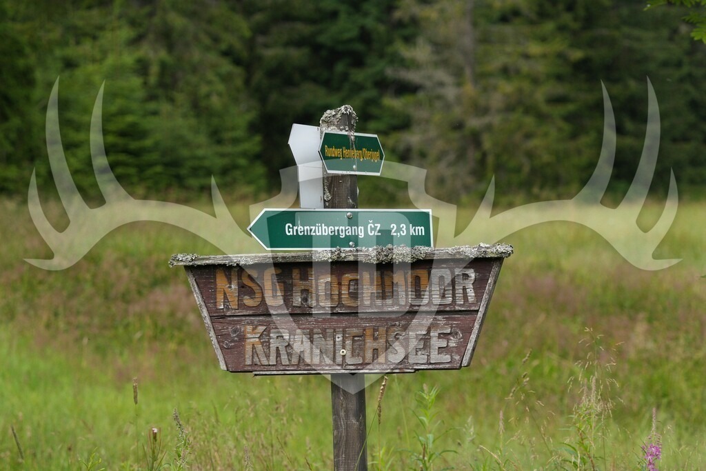 Image00338 | Fotogalerie der Treibjagd im Dunkelwald - Dein MTB Etappenrennen im Erzgebirge - Realisiert mit Pictrs.com