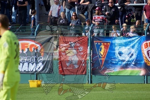 BFC Dynamo vs. FSV 63 Luckenwalde 028 | mythos-online-redaktion