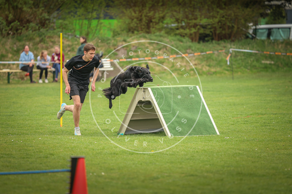 Pfotenfotografie_0L8A1462 | Hundefotografie, Tierfotograf, Pfotenfotografie, Fotoshooting Hund, Hunde Portrait, Hundesport, Hundeportraits, Heideshooting, Hunde, Sportfotograf, Hundefotograf, Turnierhundsport, THS,  - Realisiert mit Pictrs.com