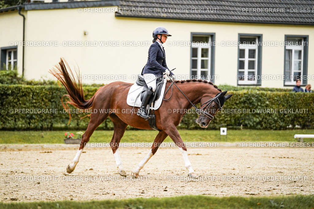 DSC06952 | Pferdegrafie