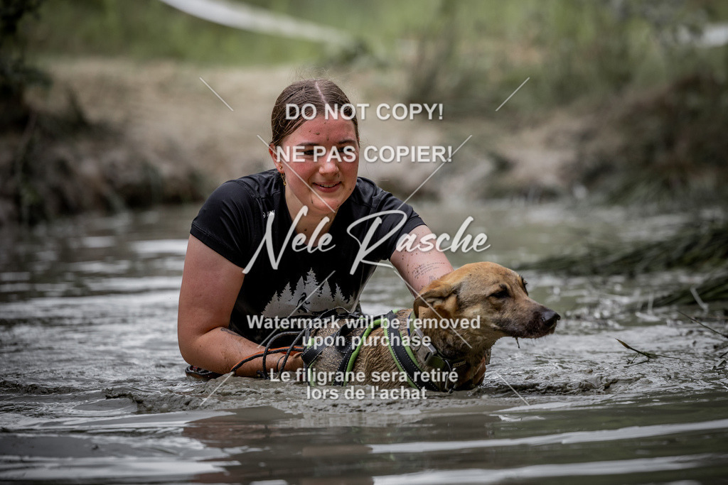 nelerasche_so0800-0930_517 | nelerasche