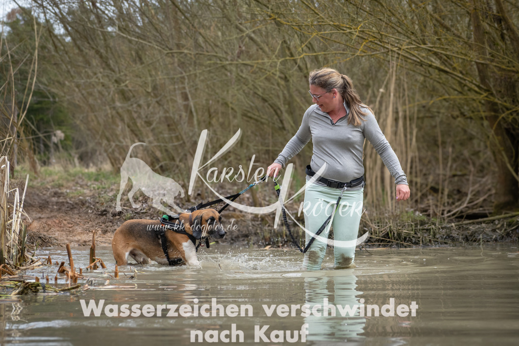 1456_ZZ91242 | kk-dogfotos