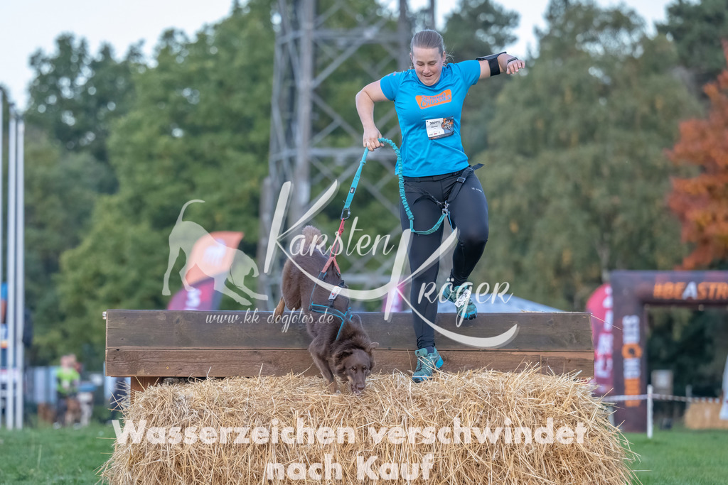 0804_ZZ94218-Bearbeitet | kk-dogfotos