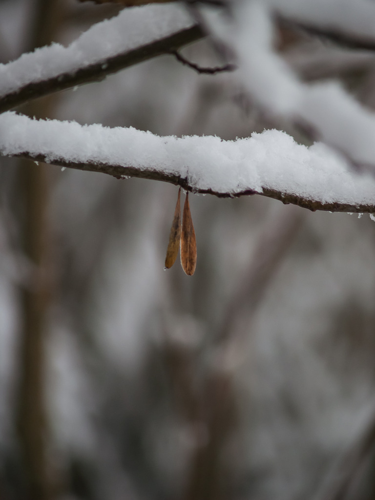 PSX_20230206_222754 | OLYMPUS DIGITAL CAMERA - Realisiert mit Pictrs.com