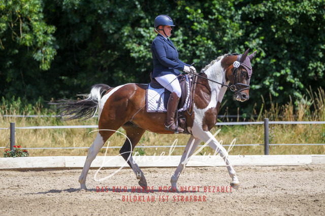 DKP46383 | Turniersportfotografie; Pferdefotografie; Dressurfotografie