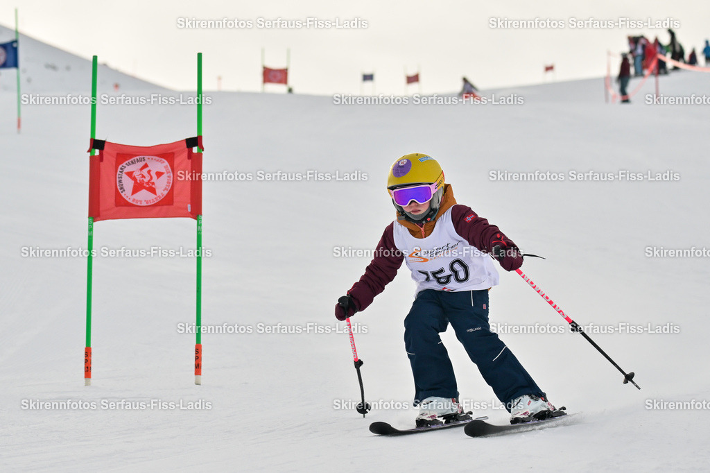 SRS_02.01.2026_0752 | SRS_02.01.2026_0752 - Realisiert mit Pictrs.com