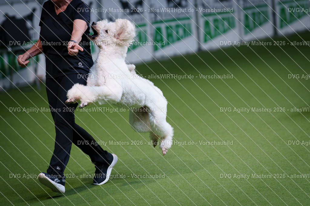 allesWIRTHgut_Tierfotografie-DVG_Agility_Masters_2026-13_30-7R509577 | Professionelle Tierfotografie in Mönchengladbach von Daniel Wirth (allesWIRTHgut). Liebevolle & natürliche Bilder von Hunden & Katzen für unvergessliche Erinnerungen.