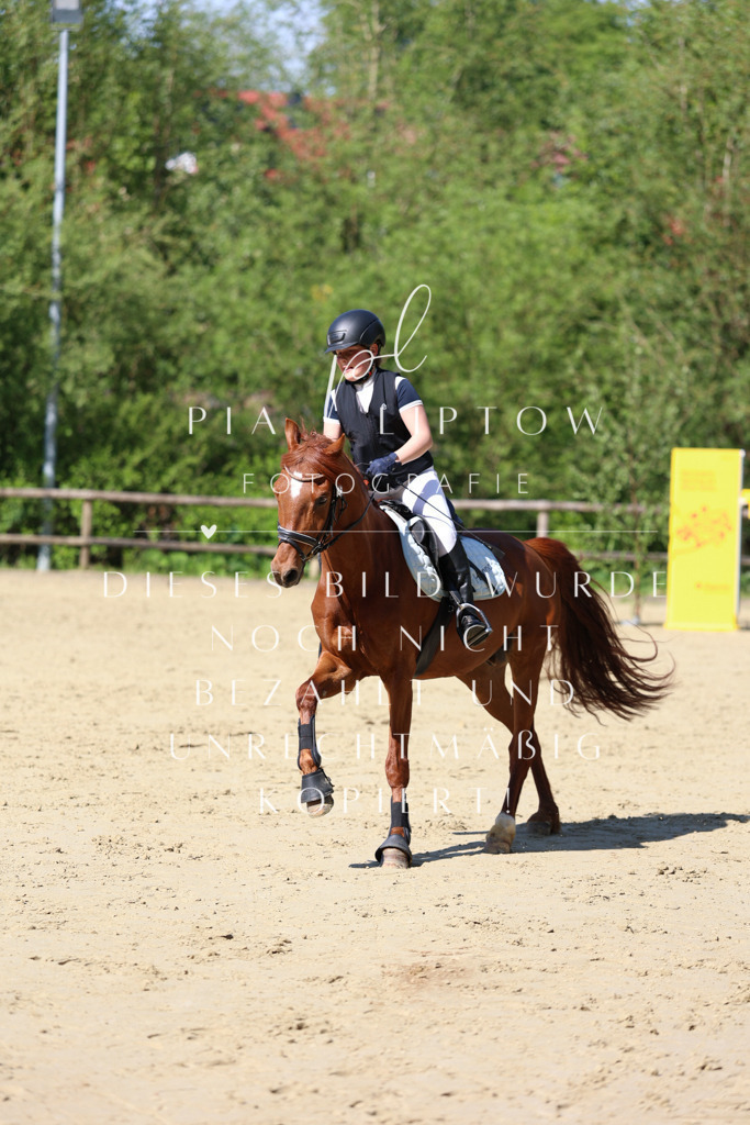 IMGS4700 | pl-fotografie