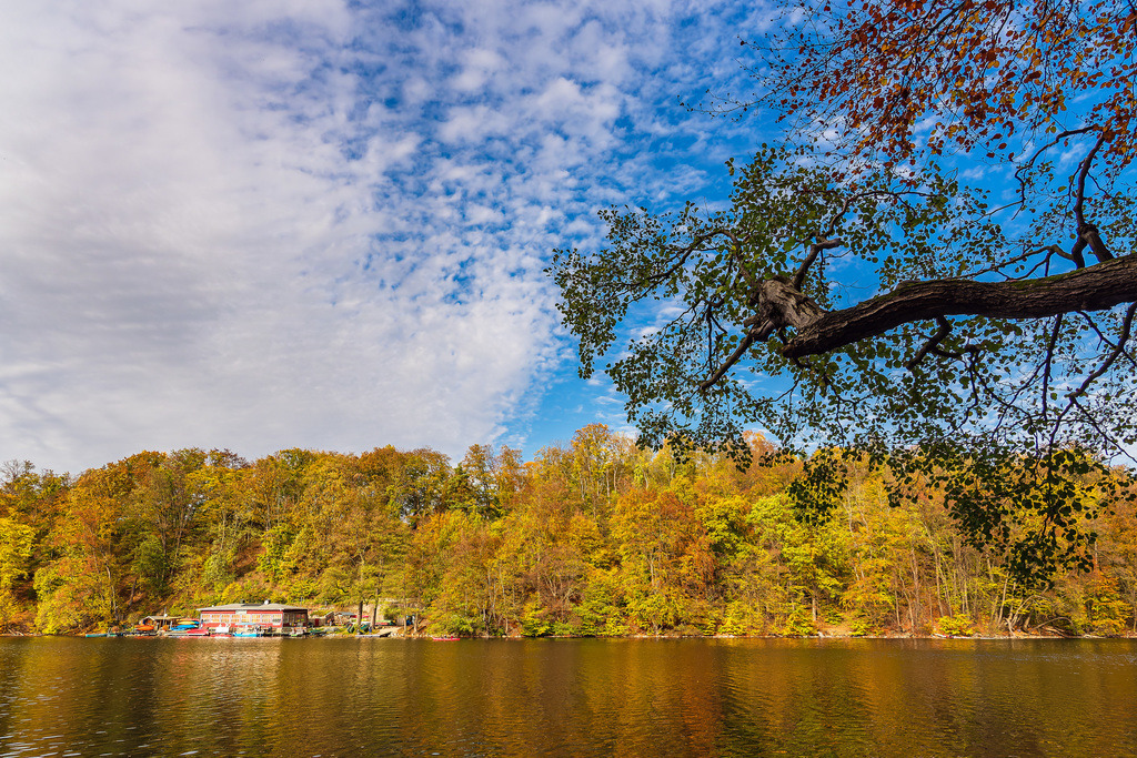 Blick über den See Schmaler Luzin auf die herbstliche Feldberger Seenlandschaft | Blick über den See Schmaler Luzin auf die herbstliche Feldberger Seenlandschaft.