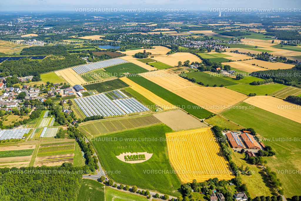 Dortmund220704097 | Luftbild, LVM Versicherung Logo in einem Feld in Hostedde, Dortmund, Ruhrgebiet, Nordrhein-Westfalen, Deutschland