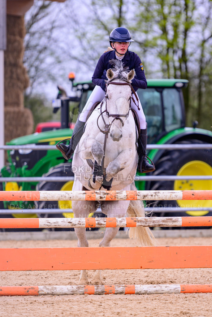 12042026-Mammendorf-Prfg39-0141 | Fokus Hufschlag Fotografie - Realisiert mit Pictrs.com