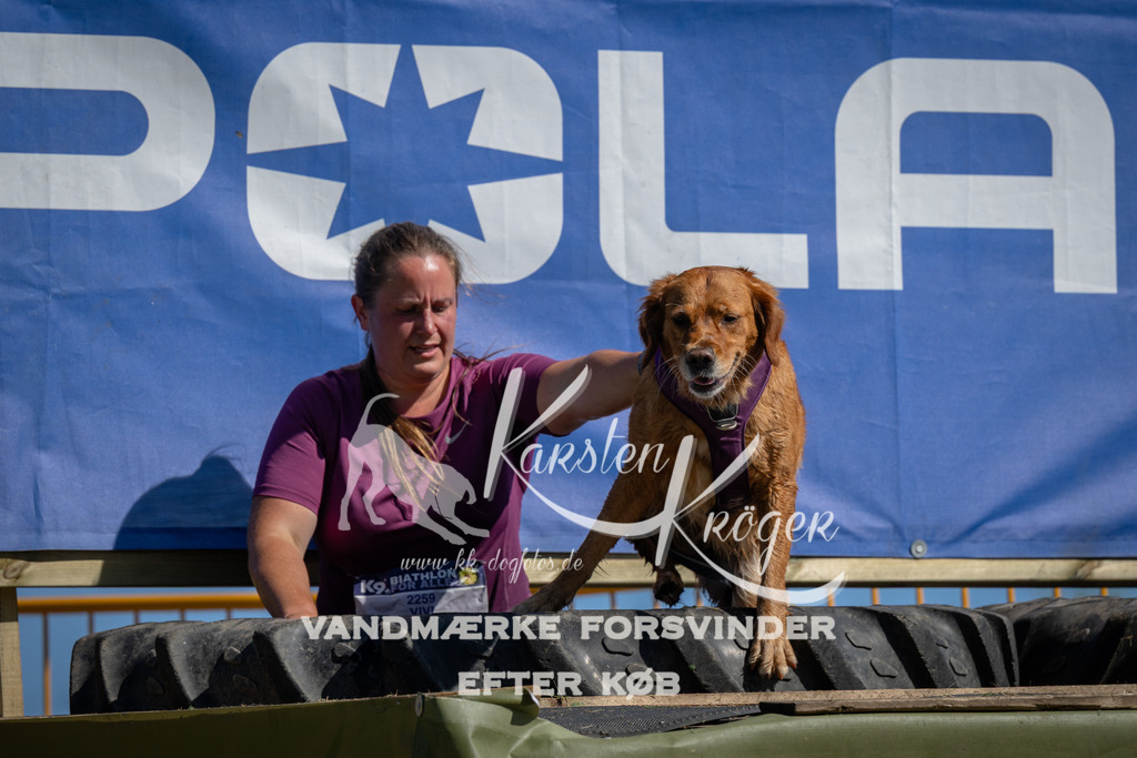 1123_ZZ91517 | kk-dogfotos