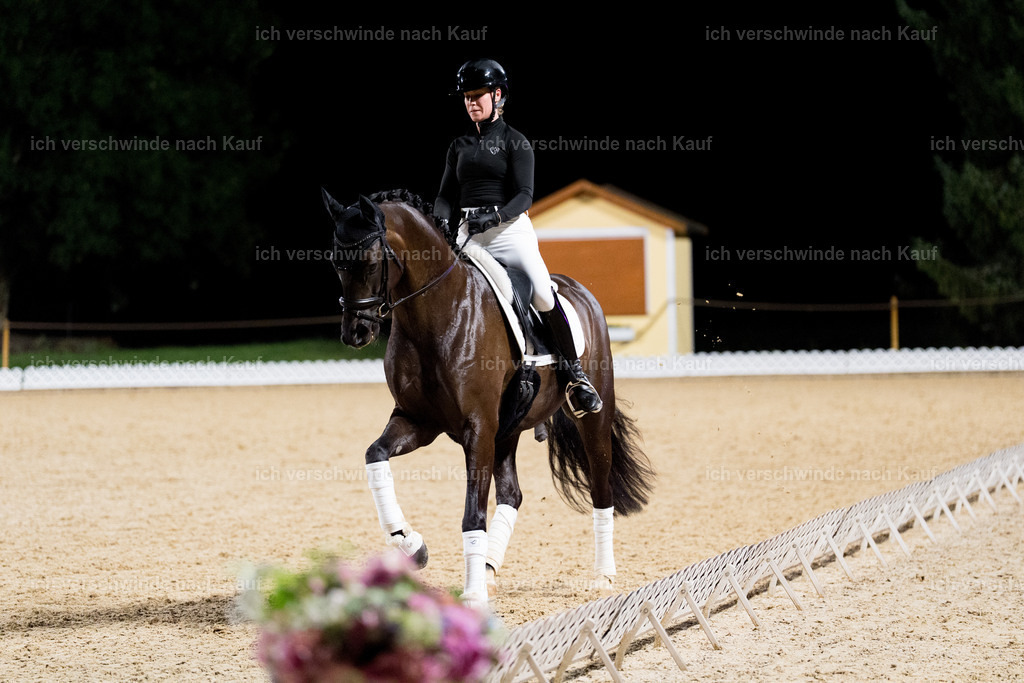 FHC2025 Isabell Werth-9448 | working equitationturnier fotograf videograf stoibphotography marixx film working equitation deutschland reitsport turnierfotografie eventfotografie equestrian events