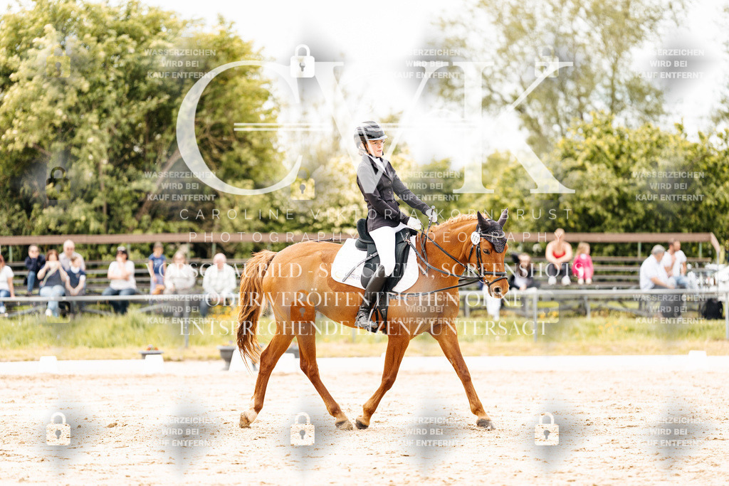 CK902951 | Turnierfotografie Pferdefotografie Trier Rheinland-Pfalz Pferdesport Reitsport Tierfotografie Sportfotografie Pferdevideo Pferdevideografie Equestrianvideography equestrianphotography  - Realisiert mit Pictrs.com