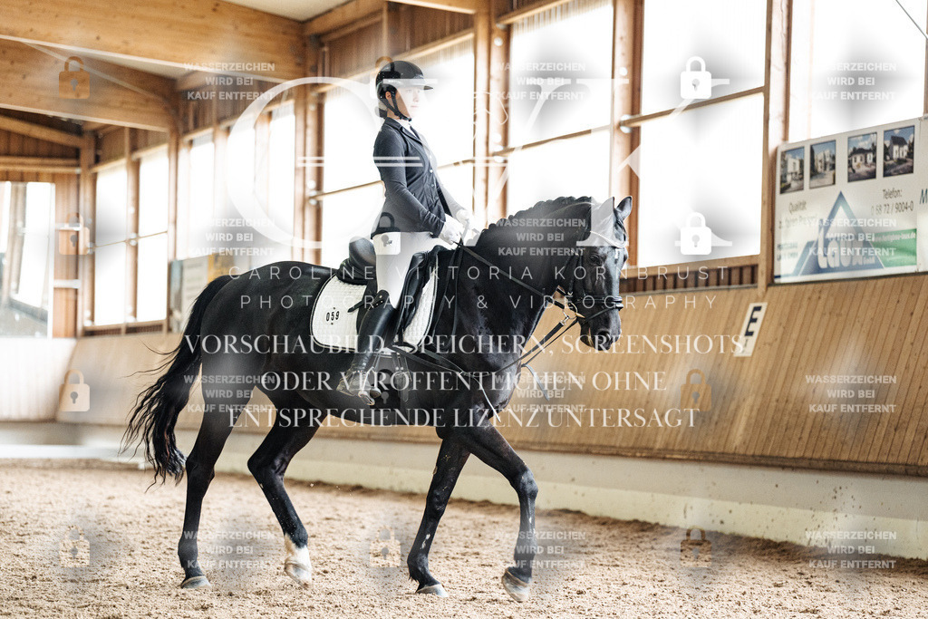 CK901017 | Turnierfotografie Pferdefotografie Trier Rheinland-Pfalz Pferdesport Reitsport Tierfotografie Sportfotografie Pferdevideo Pferdevideografie Equestrianvideography equestrianphotography  - Realisiert mit Pictrs.com