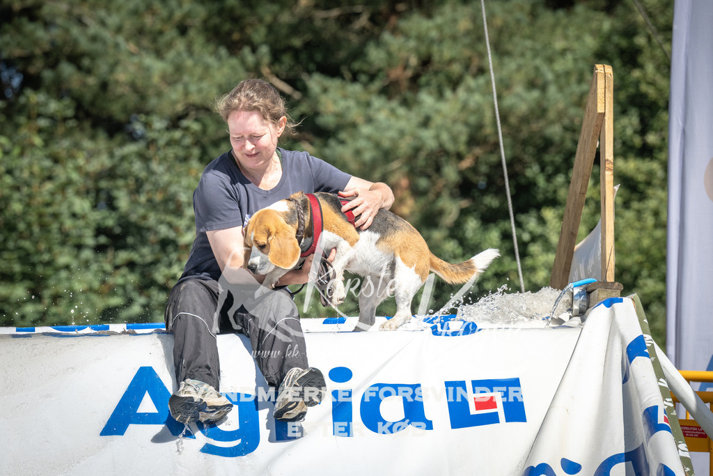 1333_ZZ90461 | kk-dogfotos