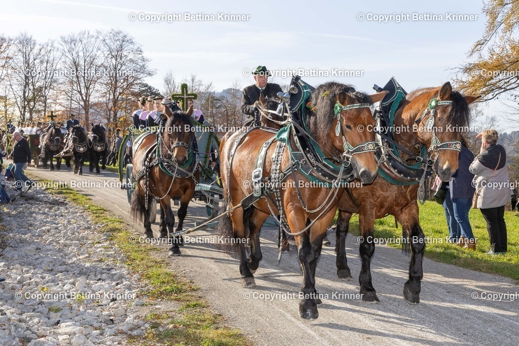 LBT24-1275 | foto-bettina-krinner - Realisiert mit Pictrs.com