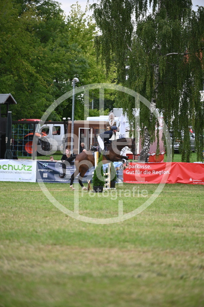 DSC_4324 | sattelsport - Realisiert mit Pictrs.com