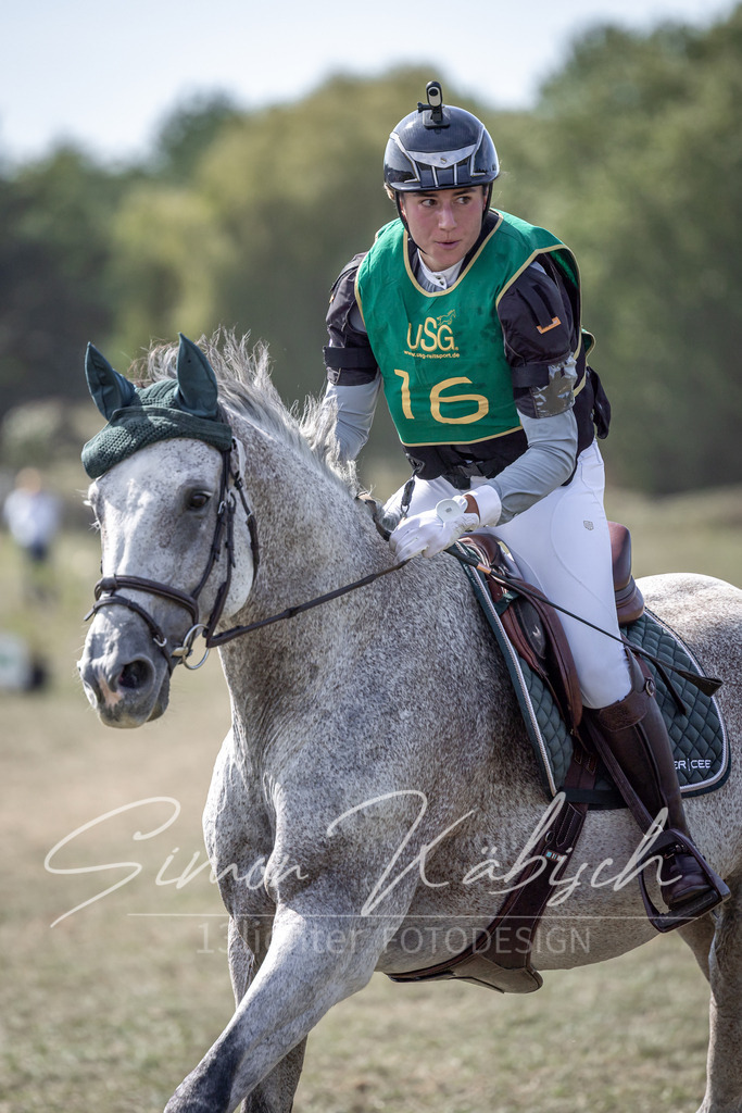 20250907-_3LI1749 | Tierfotografie Pferde, Hunde, Katzen, Haustiere.
Turnierfotografie Reitturniere, Reiten, Springreiten, Dressur in Hanau, dem Main-Kinzig-Kreis und dem Rhein-Main- Gebiet um Frankfurt