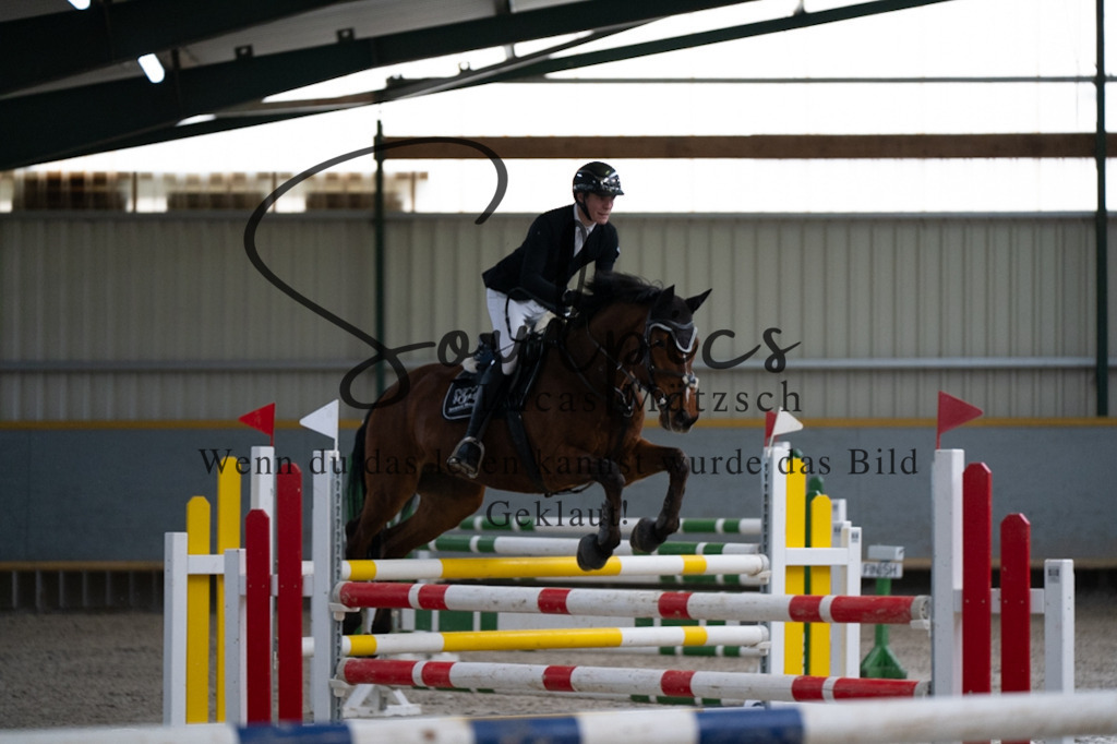 A7V08712 | Pferdefotograf