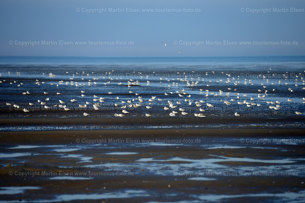 Cuxhaven_ELS_8196270716 | Fotos aus den Touristenorten aus Norddeutschland. - Realisiert mit Pictrs.com