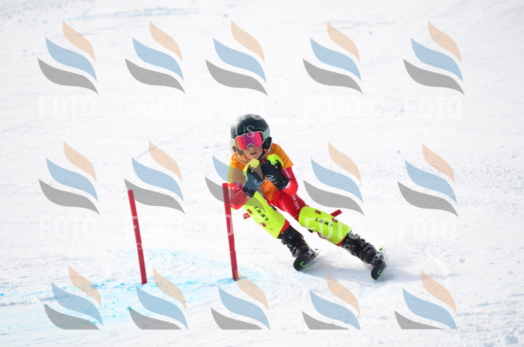 C8339 | holidayphoto