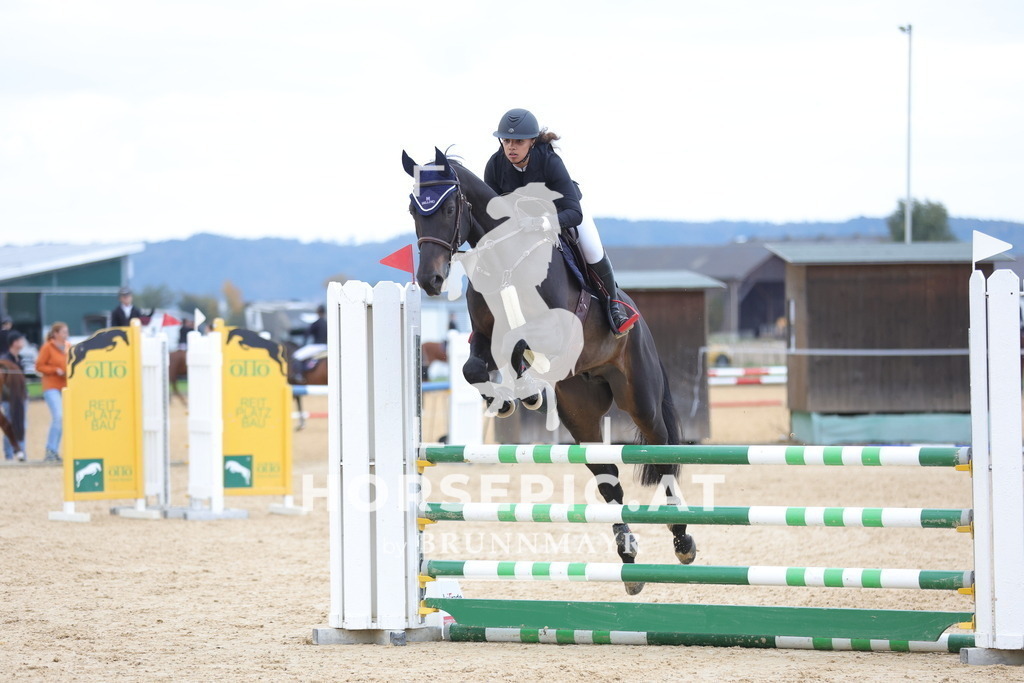 0P6A0134 | Willkommen bei Brunnmayr - Design & Fotografie – Ihrem Spezialisten für Reitturniere und Pferdeveranstaltungen in Oberösterreich, Salzburg und Bayern! Seit über 17 Jahren sind wir leidenschaftlich dabei.