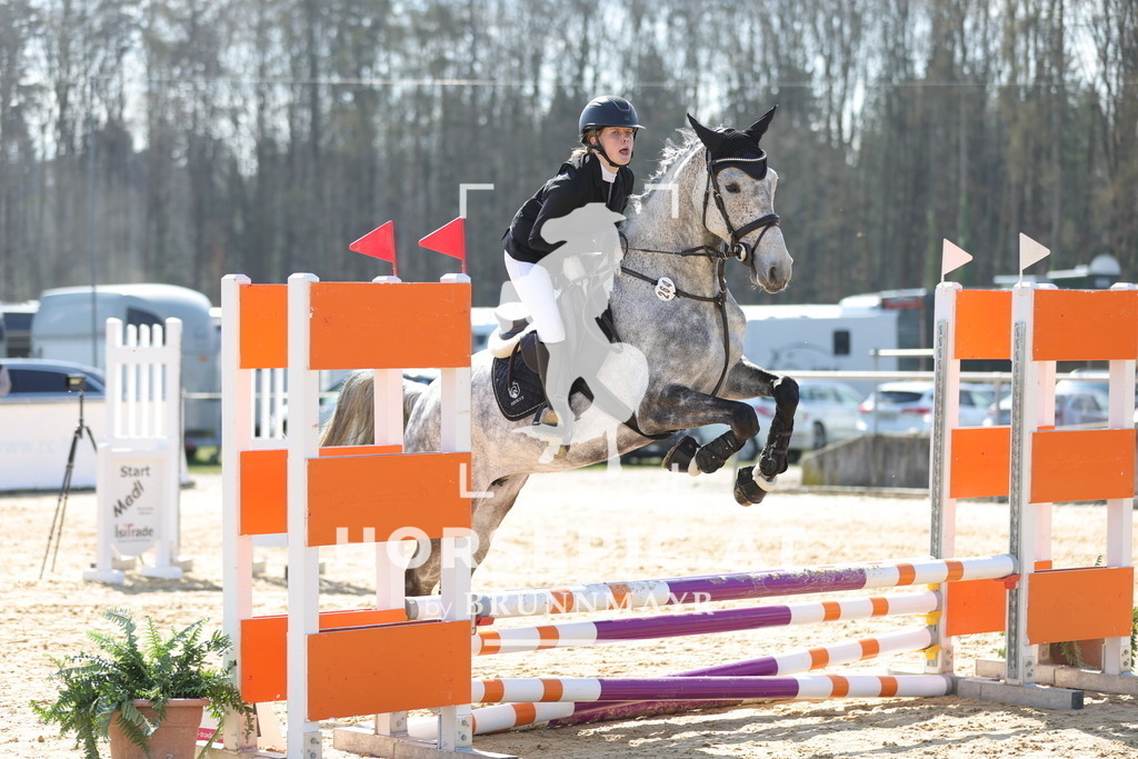 0P6A6824 | Willkommen bei Brunnmayr - Design & Fotografie – Ihrem Spezialisten für Reitturniere und Pferdeveranstaltungen in Oberösterreich, Salzburg und Bayern! Seit über 17 Jahren sind wir leidenschaftlich dabei.
