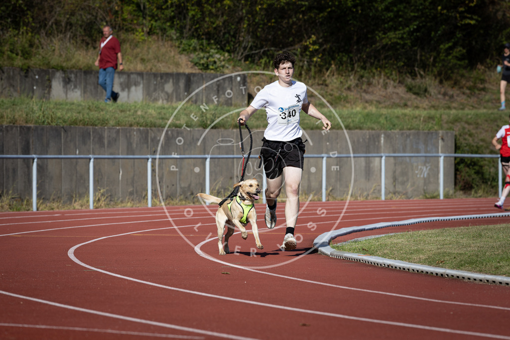 Pfotenfotografie_DV3A8121 | Hundefotografie, Tierfotograf, Pfotenfotografie, Fotoshooting Hund, Hunde Portrait, Hundesport, Hundeportraits, Heideshooting, Hunde, Sportfotograf, Hundefotograf, Turnierhundsport, THS,  - Realisiert mit Pictrs.com