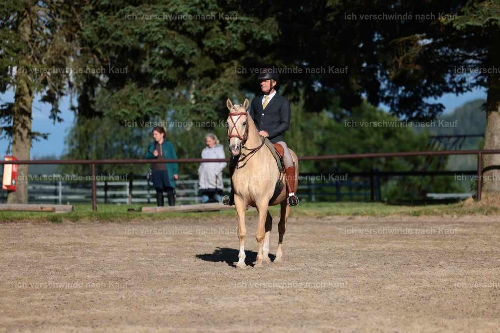 KlasseL_Stoibphotography_CAM24310.JPG | working equitationturnier fotograf videograf stoibphotography marixx film working equitation deutschland reitsport turnierfotografie eventfotografie equestrian events