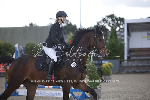 1J2A5211Britta Braunert_ Congettano Blue PS_ Kn267_ Havekost | Foto- und Videografie für alles rund ums Pferd. Hochwertige Bilder und Videos vom Spring- und Dressurreiten, Voltigieren & mehr. Jetzt aktuelle Veranstaltungen und Preise im Shop ansehen. - Realisiert mit Pictrs.com