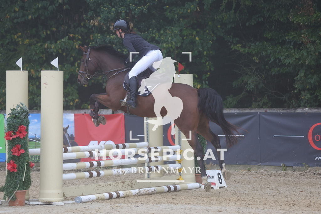 0P6A0494 | Willkommen bei Brunnmayr - Design & Fotografie – Ihrem Spezialisten für Reitturniere und Pferdeveranstaltungen in Oberösterreich, Salzburg und Bayern! Seit über 17 Jahren sind wir leidenschaftlich dabei.