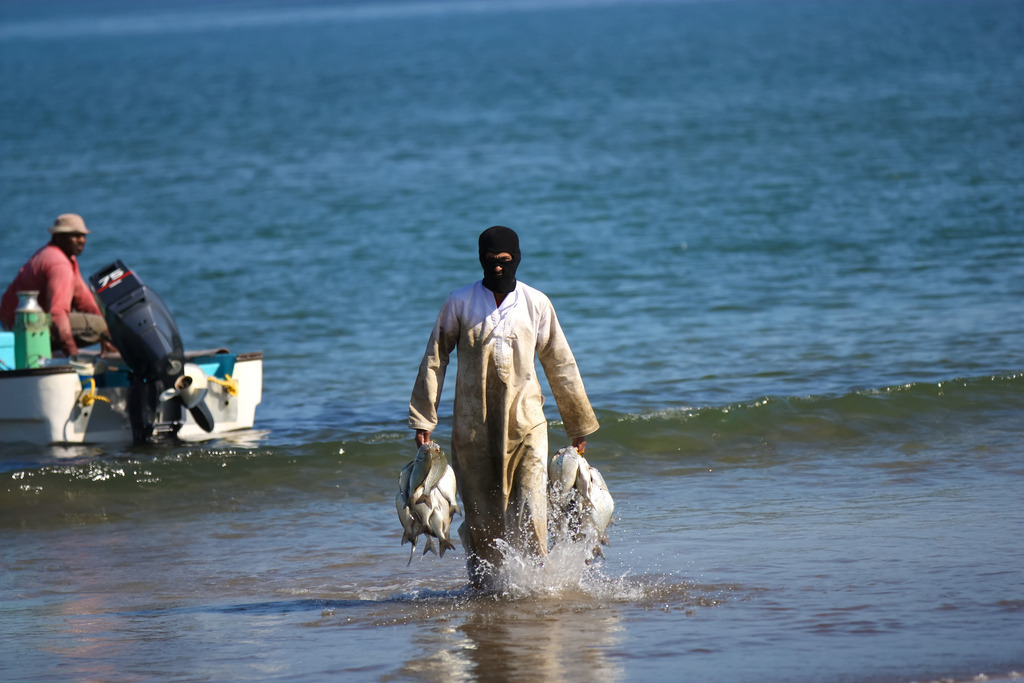 IMG_6015a | ansichtssache