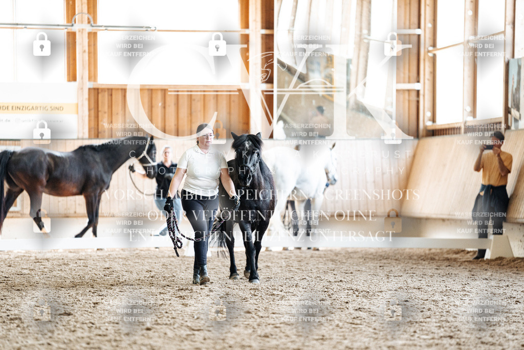 CK907925 | Turnierfotografie Pferdefotografie Trier Rheinland-Pfalz Pferdesport Reitsport Tierfotografie Sportfotografie Pferdevideo Pferdevideografie Equestrianvideography equestrianphotography  - Realized with Pictrs.com