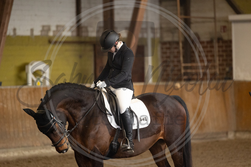 994A8950 | sabrinanicolaifotografie - Realisiert mit Pictrs.com