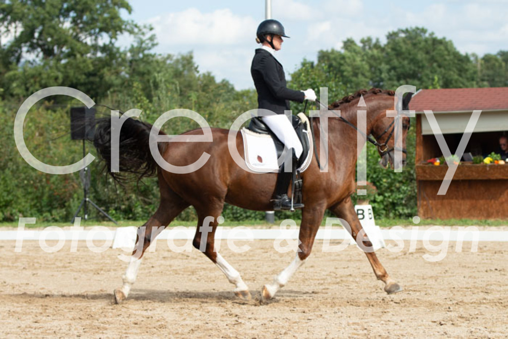 IMG_3472 | Creatify Fotografie