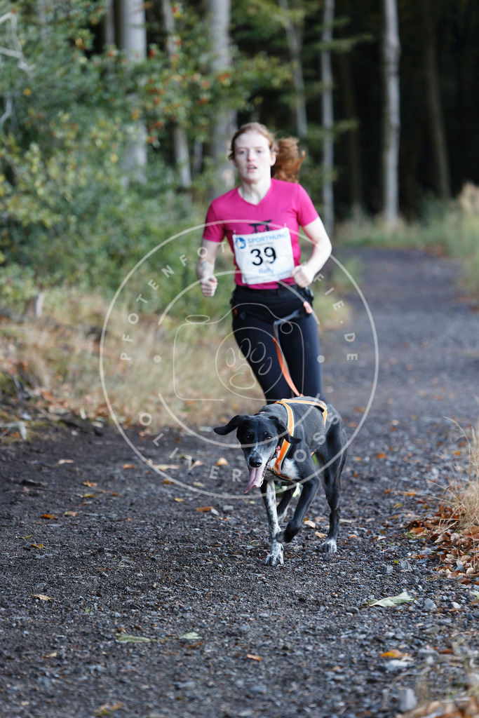 0L8A1648 | Hundefotografie, Tierfotograf, Pfotenfotografie, Fotoshooting Hund, Hunde Portrait, Hundesport, Hundeportraits, Heideshooting, Hunde, Sportfotograf, Hundefotograf, Turnierhundsport, THS,  - Realisiert mit Pictrs.com