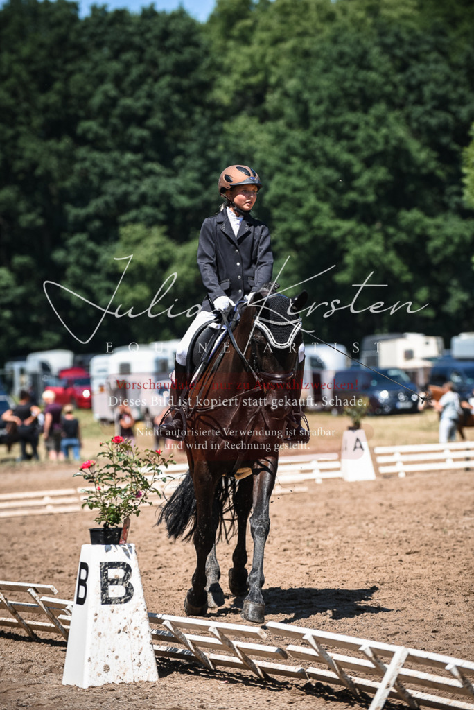 DSC_2789 | Pferde- und Turnierfotografie in Westsachsen. Pferdeportraits, Auftragszeichnungen und intuitive Kunst.
