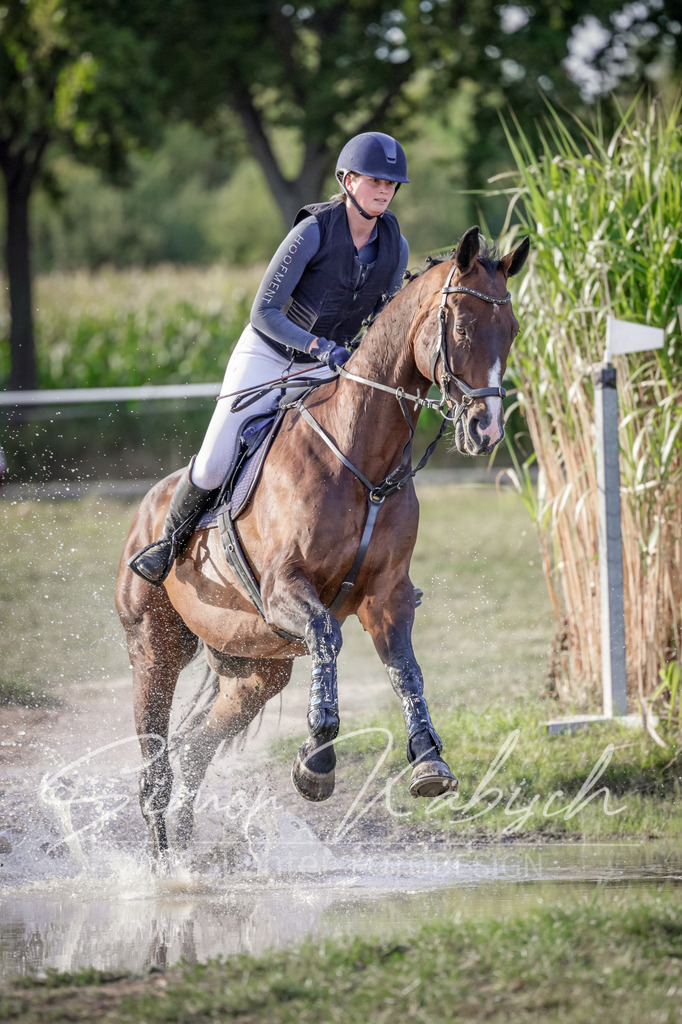 20250906-_3LI7820 | Tierfotografie Pferde, Hunde, Katzen, Haustiere.
Turnierfotografie Reitturniere, Reiten, Springreiten, Dressur in Hanau, dem Main-Kinzig-Kreis und dem Rhein-Main- Gebiet um Frankfurt