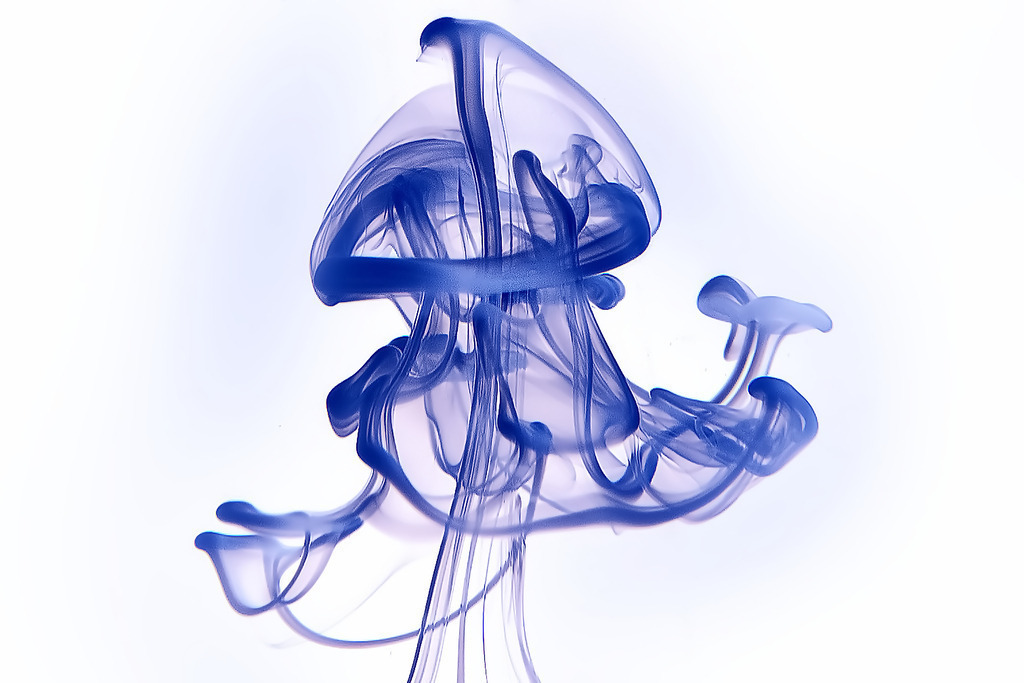 Milch-06 | In diesem Shop werden vorwiegend künstlerisch hochstehende Aufnahmen aus dem Bereich der Naturfotografie zum Verkauf angeboten. - In this store mainly artistic high quality shots from the field of nature photography are offered for sale. - Realisiert mit Pictrs.com