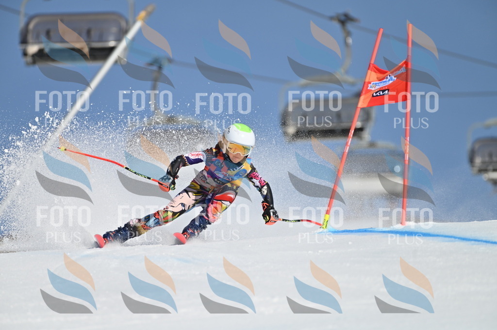 BGV_7680 | holidayphoto