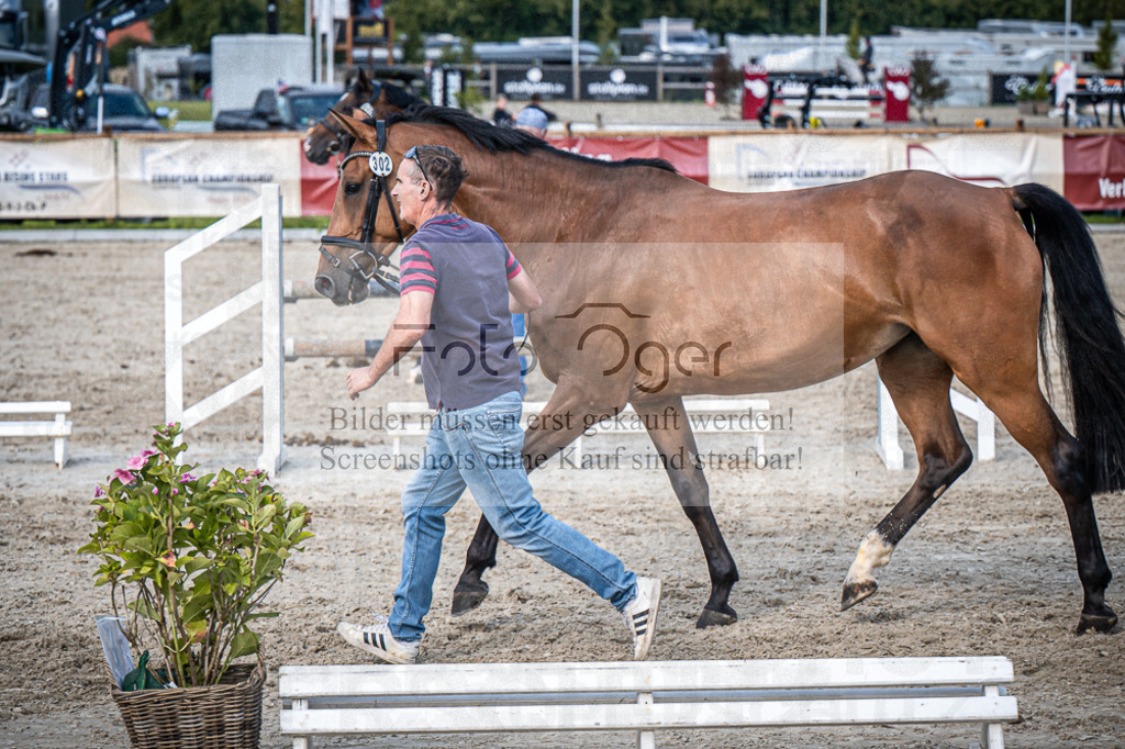 DOS_2919 | Entdecke hochwertige Reitturnierfotos von Foto Oger. Professionell, emotional und authentisch – jetzt Lieblingsmomente im Shop bestellen.Deutschlandweite Turnierfotografie. - Realisiert mit Pictrs.com