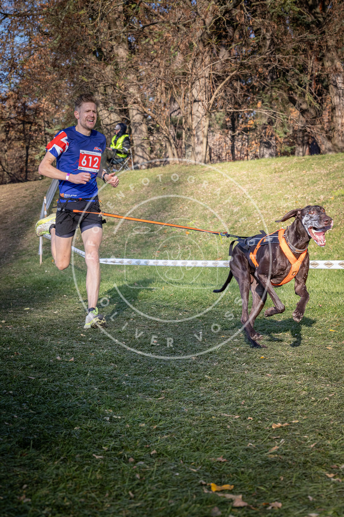 CaniXpix_0L8A8708 | Hundefotografie, Tierfotograf, Pfotenfotografie, Fotoshooting Hund, Hunde Portrait, Hundesport, Hundeportraits, Heideshooting, Hunde, Sportfotograf, Hundefotograf, Turnierhundsport, THS,  - Realisiert mit Pictrs.com