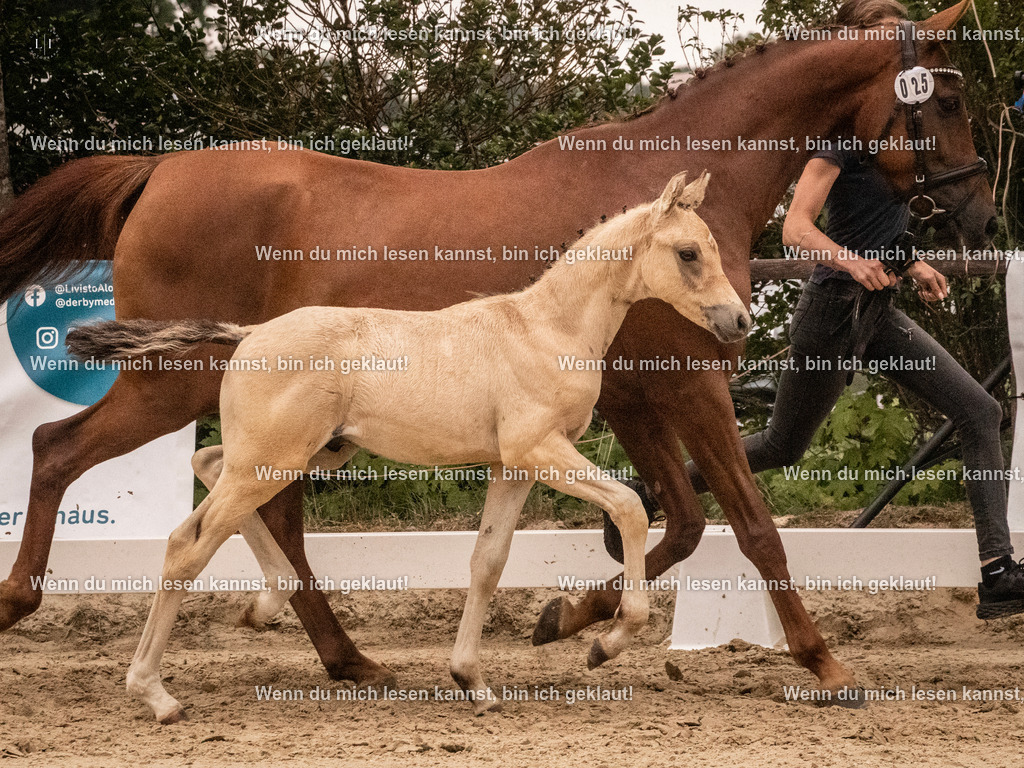A10I1778 15.54.45 | photographylinaismer - Realisiert mit Pictrs.com