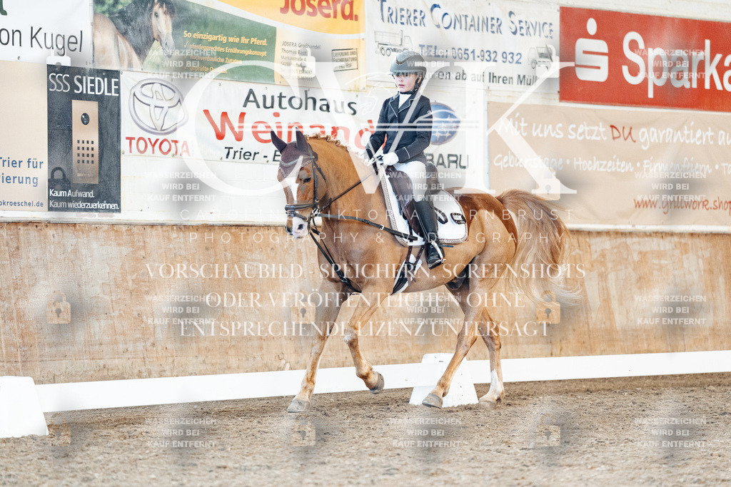 CK908010 | Turnierfotografie Pferdefotografie Trier Rheinland-Pfalz Pferdesport Reitsport Tierfotografie Sportfotografie Pferdevideo Pferdevideografie Equestrianvideography equestrianphotography  - Realized with Pictrs.com