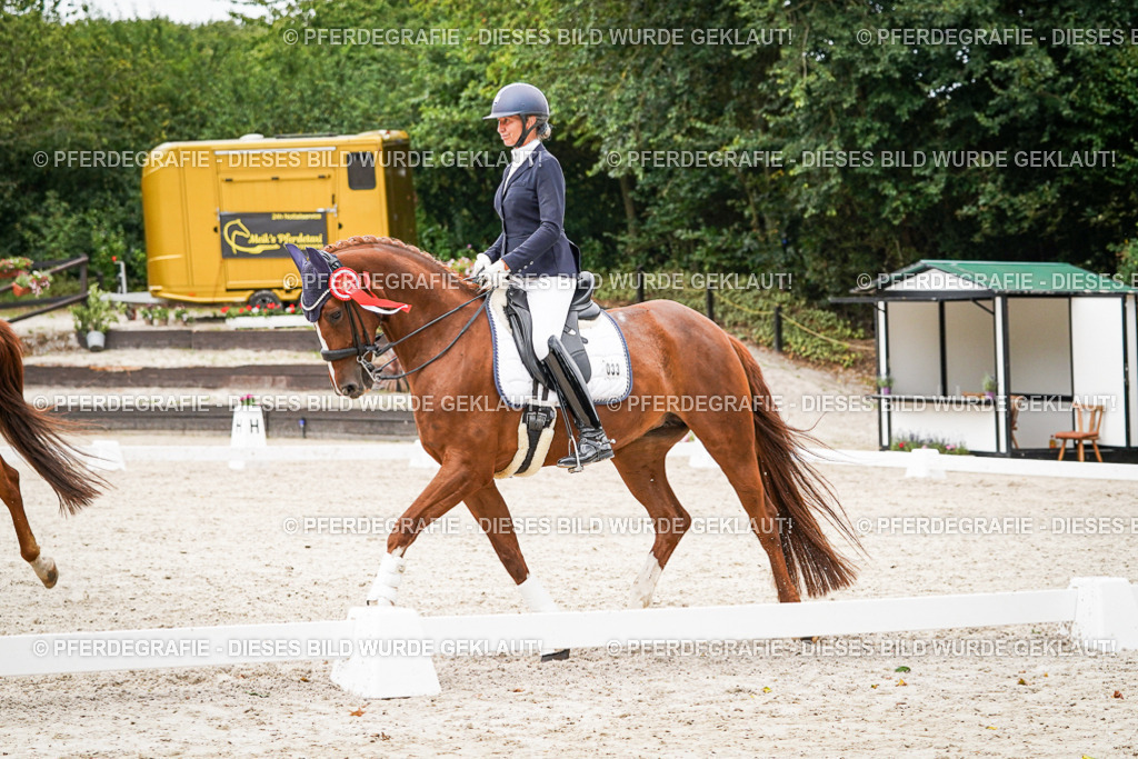 DSC08146 | Pferdegrafie