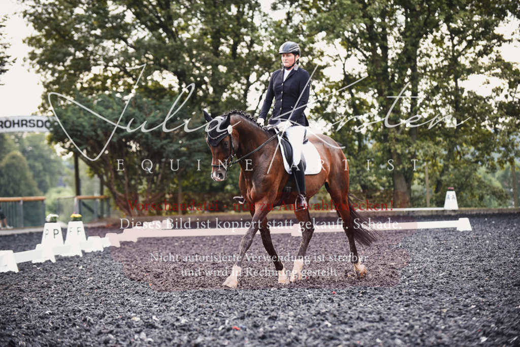 DSC_4035 | Pferde- und Turnierfotografie in Westsachsen. Pferdeportraits, Auftragszeichnungen und intuitive Kunst.