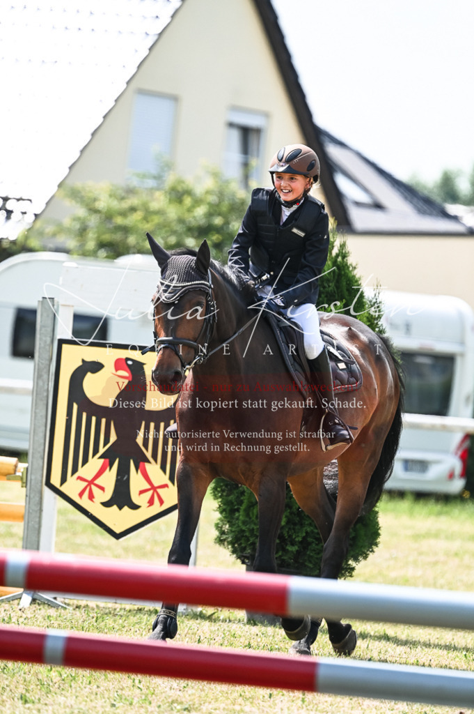 DSC_9274 | Pferde- und Turnierfotografie in Westsachsen. Pferdeportraits, Auftragszeichnungen und intuitive Kunst.