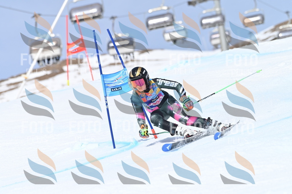 BGV_3433 | holidayphoto